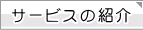 T[rX̏Љ